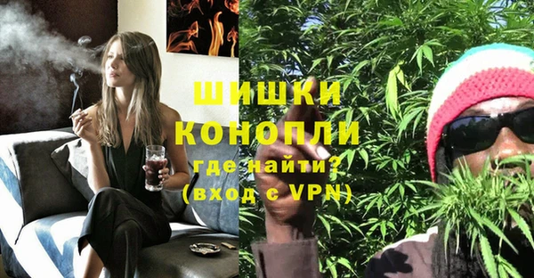 гашик Арсеньев