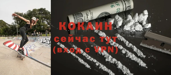гашик Арсеньев