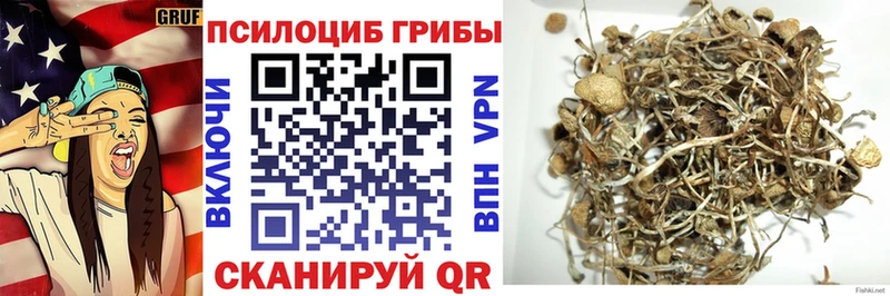 цена наркотик Киреевск ссылка на мегу ссылка Псилоцибиновые грибы Psilocybine cubensis
